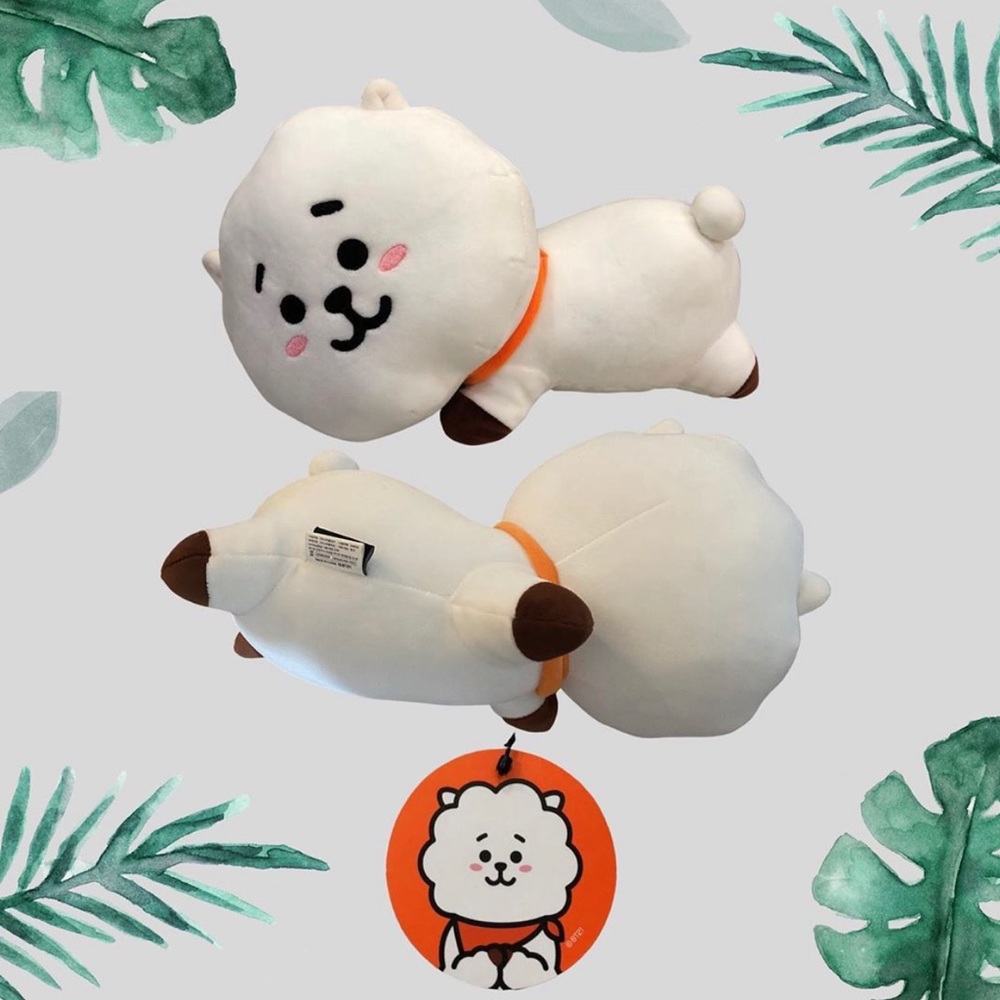 BT21 RJ Sweet Dream Cushion Plush fr Line Friends